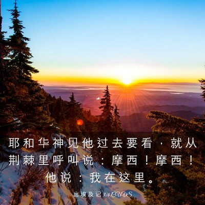 Picture 03 - 出 埃 及 记 3:4 CUVS - 耶 和 华 神 见 他 过 去 要 看 ， 就 - Bible Verse Picture