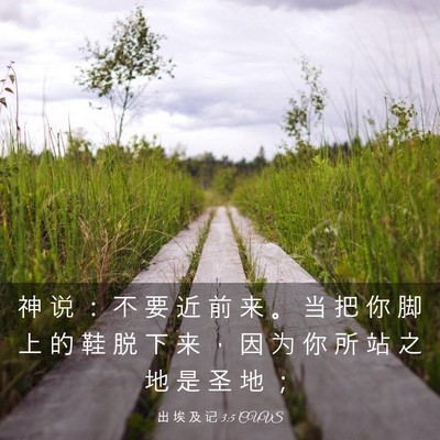 Picture 03 - 出 埃 及 记 3:5 CUVS - 神 说 ： 不 要 近 前 来 。 当 把 你 - Bible Verse Picture