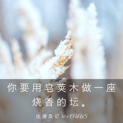 Picture 03 - 出 埃 及 记 30:1 CUVS - 你 要 用 皂 荚 木 做 一 座 烧 香 的 - Bible Verse Picture