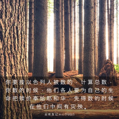 Picture 03 - 出 埃 及 记 30:12 CUVS - 你 要 按 以 色 列 人 被 数 的 ， 计 - Bible Verse Picture