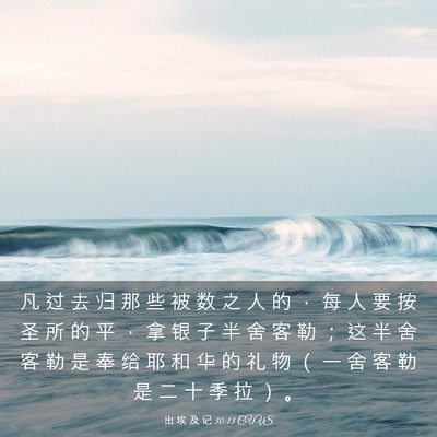 Picture 03 - 出 埃 及 记 30:13 CUVS - 凡 过 去 归 那 些 被 数 之 人 的 ， - Bible Verse Picture