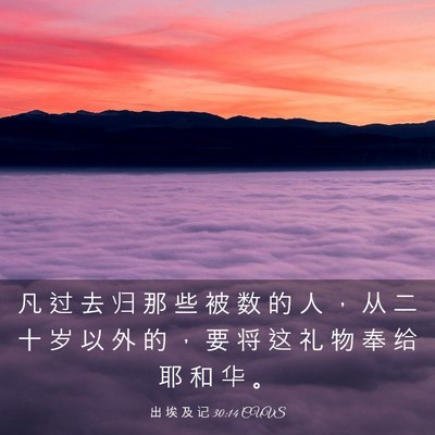 Picture 03 - 出 埃 及 记 30:14 CUVS - 凡 过 去 归 那 些 被 数 的 人 ， 从 - Bible Verse Picture