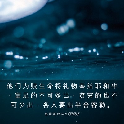 Picture 03 - 出 埃 及 记 30:15 CUVS - 他 们 为 赎 生 命 将 礼 物 奉 给 耶 - Bible Verse Picture