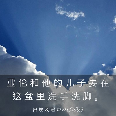 Picture 03 - 出 埃 及 记 30:19 CUVS - 亚 伦 和 他 的 儿 子 要 在 这 盆 里 - Bible Verse Picture