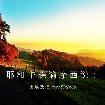 Picture 03 - 出 埃 及 记 30:22 CUVS - 耶 和 华 晓 谕 摩 西 说 - Bible Verse Picture