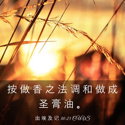 Picture 03 - 出 埃 及 记 30:25 CUVS - 按 做 香 之 法 调 和 做 成 圣 膏 油 - Bible Verse Picture