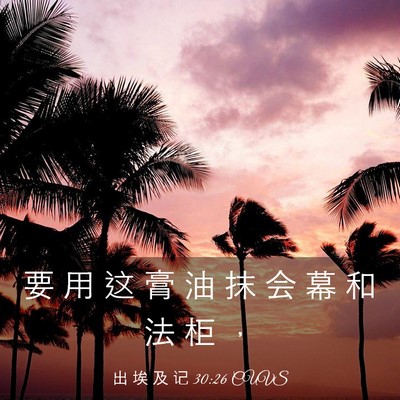 Picture 03 - 出 埃 及 记 30:26 CUVS - 要 用 这 膏 油 抹 会 幕 和 法 柜 - Bible Verse Picture