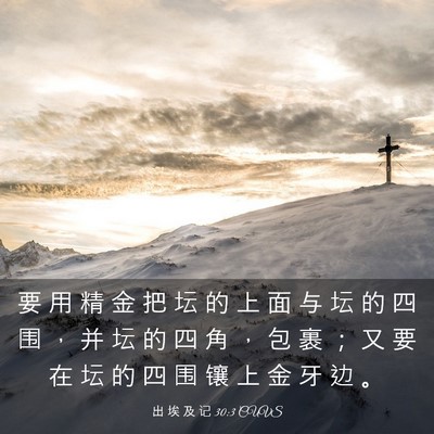 Picture 03 - 出 埃 及 记 30:3 CUVS - 要 用 精 金 把 坛 的 上 面 与 坛 的 - Bible Verse Picture