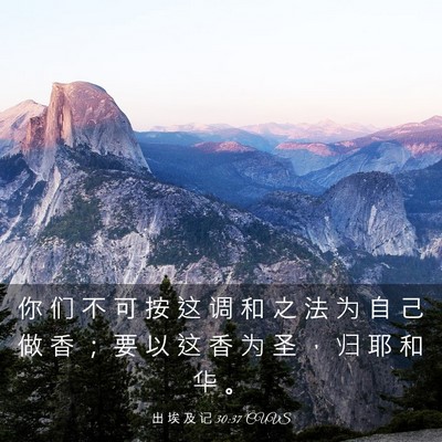 Picture 03 - 出 埃 及 记 30:37 CUVS - 你 们 不 可 按 这 调 和 之 法 为 自 - Bible Verse Picture