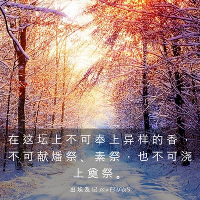 Picture 03 - 出 埃 及 记 30:9 CUVS - 在 这 坛 上 不 可 奉 上 异 样 的 香 - Bible Verse Picture