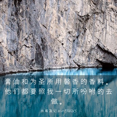 Picture 03 - 出 埃 及 记 31:11 CUVS - 膏 油 和 为 圣 所 用 馨 香 的 香 料 - Bible Verse Picture