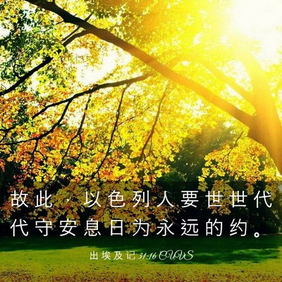 Picture 03 - 出 埃 及 记 31:16 CUVS - 故 此 ， 以 色 列 人 要 世 世 代 代 - Bible Verse Picture