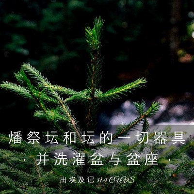 Picture 03 - 出 埃 及 记 31:9 CUVS - 燔 祭 坛 和 坛 的 一 切 器 具 ， 并 - Bible Verse Picture