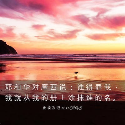 Picture 03 - 出 埃 及 记 32:33 CUVS - 耶 和 华 对 摩 西 说 ： 谁 得 罪 我 - Bible Verse Picture