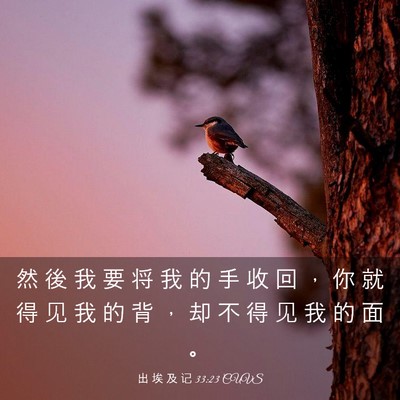 Picture 03 - 出 埃 及 记 33:23 CUVS - 然 後 我 要 将 我 的 手 收 回 ， 你 - Bible Verse Picture