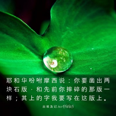 Picture 03 - 出 埃 及 记 34:1 CUVS - 耶 和 华 吩 咐 摩 西 说 ： 你 要 凿 - Bible Verse Picture
