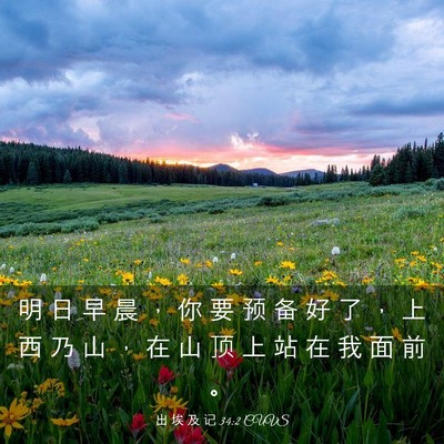 Picture 03 - 出 埃 及 记 34:2 CUVS - 明 日 早 晨 ， 你 要 预 备 好 了 ， - Bible Verse Picture