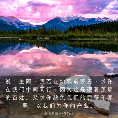Picture 03 - 出 埃 及 记 34:9 CUVS - 说 ： 主 阿 ， 我 若 在 你 眼 前 蒙 - Bible Verse Picture