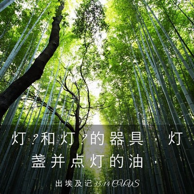 Picture 03 - 出 埃 及 记 35:14 CUVS - 灯 ? 和 灯 ? 的 器 具 ， 灯 盏 并 点 - Bible Verse Picture