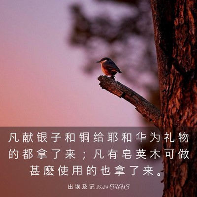 Picture 03 - 出 埃 及 记 35:24 CUVS - 凡 献 银 子 和 铜 给 耶 和 华 为 礼 - Bible Verse Picture