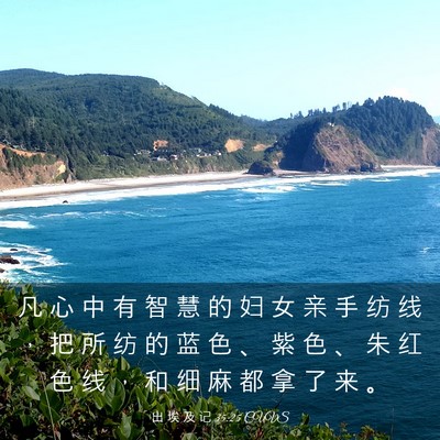 Picture 03 - 出 埃 及 记 35:25 CUVS - 凡 心 中 有 智 慧 的 妇 女 亲 手 纺 - Bible Verse Picture