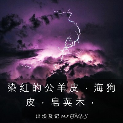 Picture 03 - 出 埃 及 记 35:7 CUVS - 染 红 的 公 羊 皮 ， 海 狗 皮 ， 皂 - Bible Verse Picture