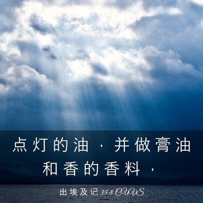 Picture 03 - 出 埃 及 记 35:8 CUVS - 点 灯 的 油 ， 并 做 膏 油 和 香 的 - Bible Verse Picture