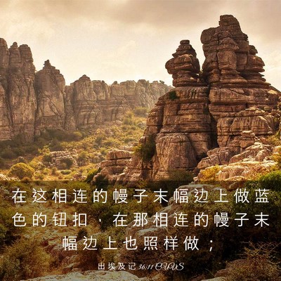Picture 03 - 出 埃 及 记 36:11 CUVS - 在 这 相 连 的 幔 子 末 幅 边 上 做 - Bible Verse Picture