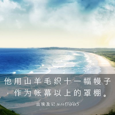 Picture 03 - 出 埃 及 记 36:14 CUVS - 他 用 山 羊 毛 织 十 一 幅 幔 子 ， - Bible Verse Picture