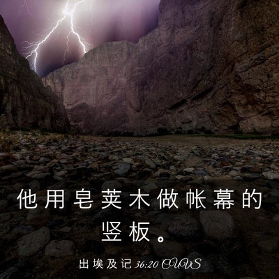 Picture 03 - 出 埃 及 记 36:20 CUVS - 他 用 皂 荚 木 做 帐 幕 的 竖 板 - Bible Verse Picture