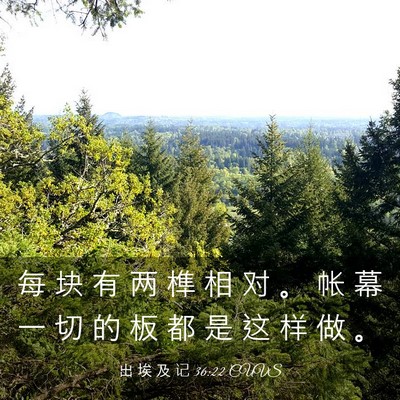 Picture 03 - 出 埃 及 记 36:22 CUVS - 每 块 有 两 榫 相 对 。 帐 幕 一 切 - Bible Verse Picture