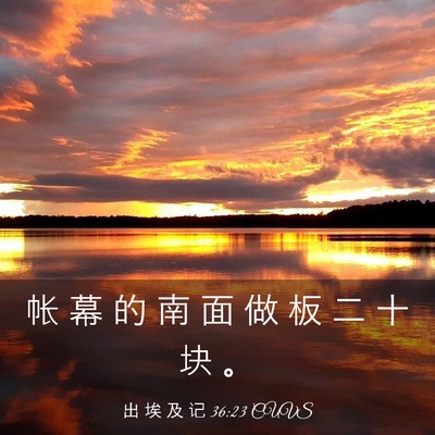 Picture 03 - 出 埃 及 记 36:23 CUVS - 帐 幕 的 南 面 做 板 二 十 块 - Bible Verse Picture