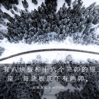Picture 03 - 出 埃 及 记 36:30 CUVS - 有 八 块 板 和 十 六 个 带 卯 的 银 - Bible Verse Picture