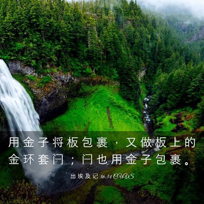 Picture 03 - 出 埃 及 记 36:34 CUVS - 用 金 子 将 板 包 裹 ， 又 做 板 上 - Bible Verse Picture