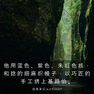 Picture 03 - 出 埃 及 记 36:35 CUVS - 他 用 蓝 色 、 紫 色 、 朱 红 色 线 - Bible Verse Picture