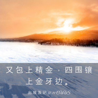 Picture 03 - 出 埃 及 记 37:11 CUVS - 又 包 上 精 金 ， 四 围 镶 上 金 牙 - Bible Verse Picture