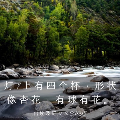 Picture 03 - 出 埃 及 记 37:20 CUVS - 灯 ? 上 有 四 个 杯 ， 形 状 像 杏 花 - Bible Verse Picture