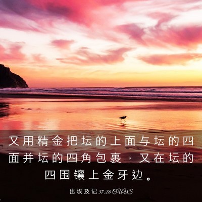 Picture 03 - 出 埃 及 记 37:26 CUVS - 又 用 精 金 把 坛 的 上 面 与 坛 的 - Bible Verse Picture