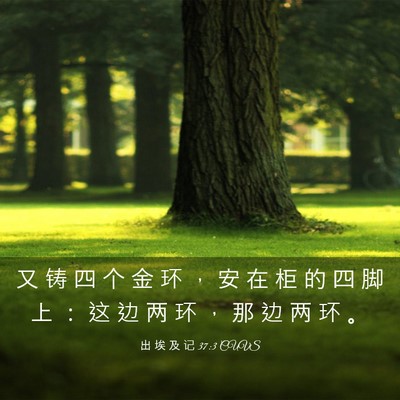 Picture 03 - 出 埃 及 记 37:3 CUVS - 又 铸 四 个 金 环 ， 安 在 柜 的 四 - Bible Verse Picture