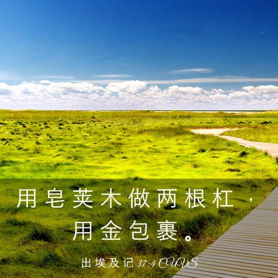 Picture 03 - 出 埃 及 记 37:4 CUVS - 用 皂 荚 木 做 两 根 杠 ， 用 金 包 - Bible Verse Picture