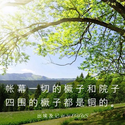 Picture 03 - 出 埃 及 记 38:20 CUVS - 帐 幕 一 切 的 橛 子 和 院 子 四 围 - Bible Verse Picture