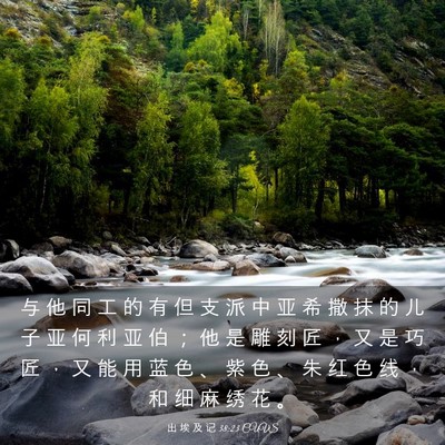 Picture 03 - 出 埃 及 记 38:23 CUVS - 与 他 同 工 的 有 但 支 派 中 亚 希 - Bible Verse Picture