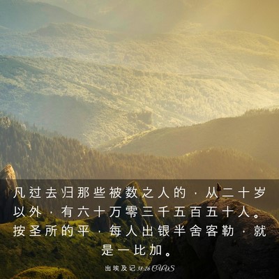 Picture 03 - 出 埃 及 记 38:26 CUVS - 凡 过 去 归 那 些 被 数 之 人 的 ， - Bible Verse Picture