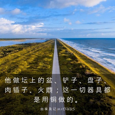 Picture 03 - 出 埃 及 记 38:3 CUVS - 他 做 坛 上 的 盆 、 铲 子 、 盘 子 - Bible Verse Picture
