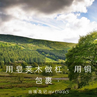 Picture 03 - 出 埃 及 记 38:6 CUVS - 用 皂 荚 木 做 杠 ， 用 铜 包 裹 - Bible Verse Picture