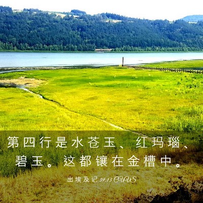 Picture 03 - 出 埃 及 记 39:13 CUVS - 第 四 行 是 水 苍 玉 、 红 玛 瑙 、 - Bible Verse Picture
