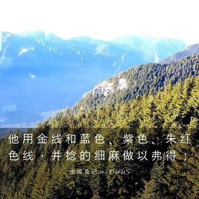 Picture 03 - 出 埃 及 记 39:2 CUVS - 他 用 金 线 和 蓝 色 、 紫 色 、 朱 - Bible Verse Picture