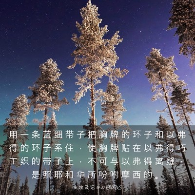 Picture 03 - 出 埃 及 记 39:21 CUVS - 用 一 条 蓝 细 带 子 把 胸 牌 的 环 - Bible Verse Picture