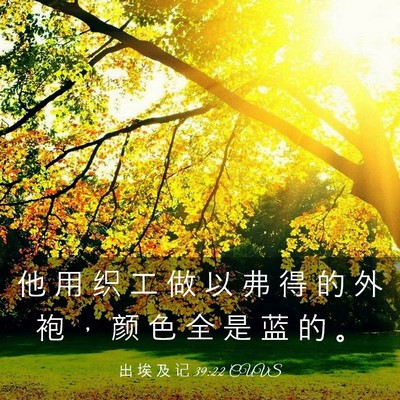 Picture 03 - 出 埃 及 记 39:22 CUVS - 他 用 织 工 做 以 弗 得 的 外 袍 ， - Bible Verse Picture