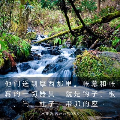 Picture 03 - 出 埃 及 记 39:33 CUVS - 他 们 送 到 摩 西 那 里 。 帐 幕 和 - Bible Verse Picture